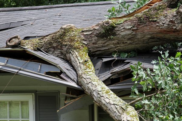 Storm Remediation in Lebanon