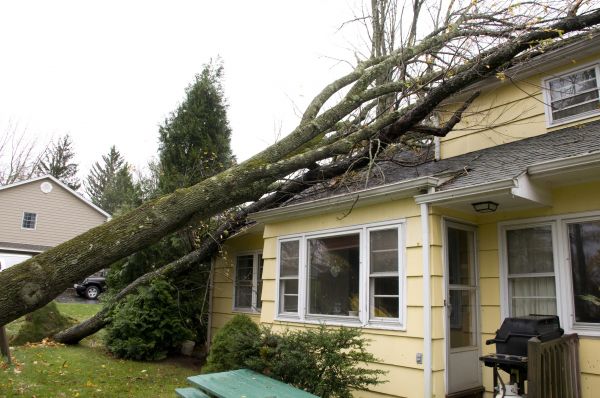 Hurricane Damage Repair in Lebanon